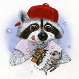 Cute Raccoon.  Realistic humor for magazine illustrations by illustrator Jim Harris.